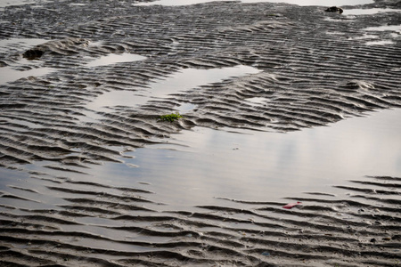 退潮时在粮食岛上裸露的淤泥图片