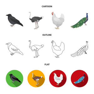 乌鸦, 鸵鸟, 鸡肉, 孔雀。鸟类集合图标在卡通, 轮廓, 平面风格矢量符号股票插画网站