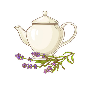 白色背景的茶壶插图薰衣草茶
