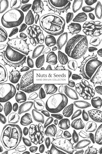 手绘海报与不同种类的坚果和种子在白色背景