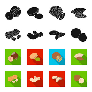 花生, 腰果, 巴西果仁, 澳洲坚果。不同种类的坚果集合图标在黑色, flet 样式矢量符号股票插画网站