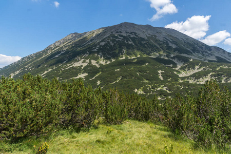 保加利亚 Pirin 山 Banderitsa 河谷景观