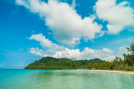 美丽的热带海滩和海与椰子棕榈树在天堂海岛为旅行和假期