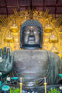 日本奈良东大大佛寺 Vairocana 大佛像