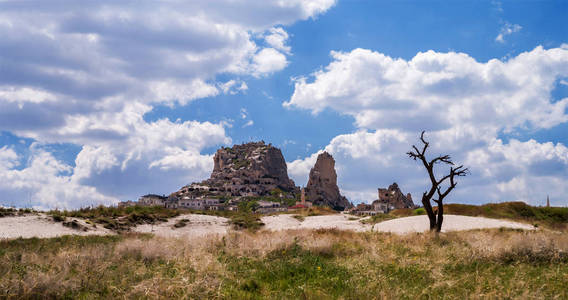 全景与 Uchisar 城堡和一棵干树剪影, 土耳其