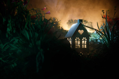梦幻装饰的照片。小美丽的房子在草与光。在森林的老房子晚上与月亮。暗雾点燃背景。选择性聚焦