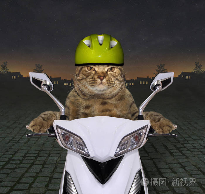 戴着绿色头盔的酷猫在夜里骑着一辆白色的摩托车.