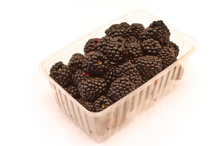 黑莓果在塑料碗被隔绝在白色