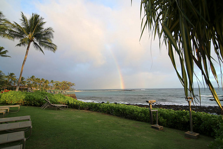 热带海滩的风景与棕榈树与彩虹, 考艾岛, 夏威夷, 美国