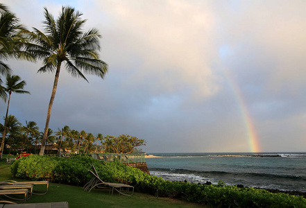 热带海滩的风景与棕榈树与彩虹, 考艾岛, 夏威夷, 美国