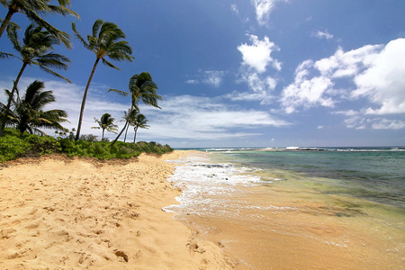 热带海滩的景色与棕榈树和平静的早晨, 考艾岛, 夏威夷, 美国