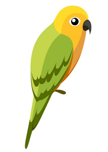 绿鹦鹉鸟。鹦鹉在分支海报, 儿童书说明。热带鸟卡通风格。在白色背景上被隔离