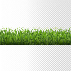 绿草边框隔离透明背景, 矢量插图