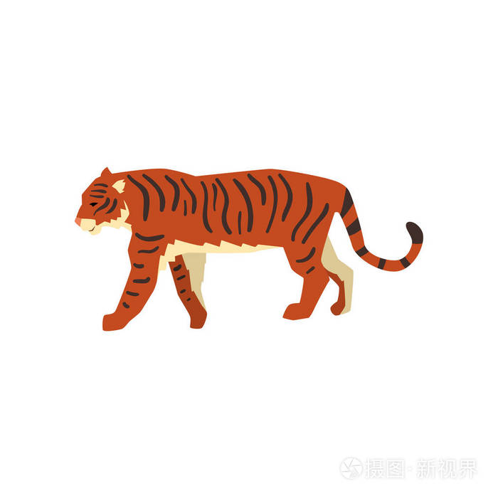 插画 雄伟的老虎, 侧面看, 野猫, 捕食者卡通矢量插图白色背景.eps