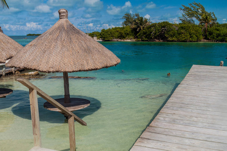 在伯利兹 Caye Caulker 岛的水中的桌子和一把阳伞