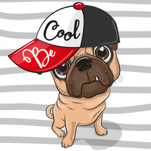 可爱的卡通帕格狗在条纹背景红色帽子