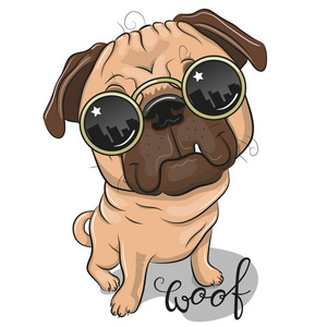 酷卡通哈巴狗狗与太阳眼镜