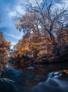 秋天的森林由河