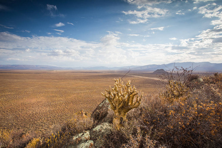 Tankwa 卡鲁沙漠与天空中戏剧性雷云的全景景色