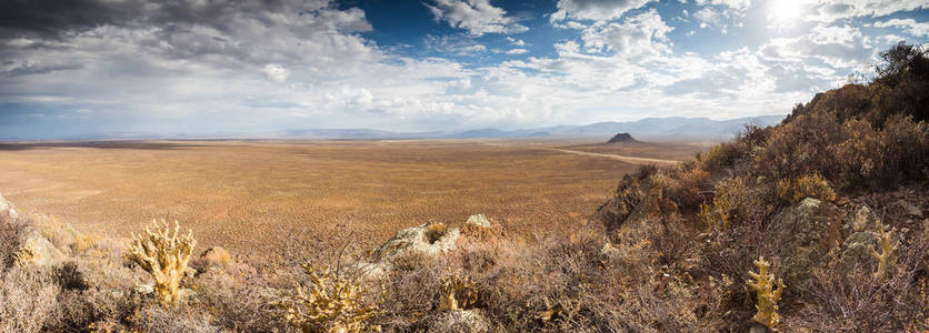 Tankwa 卡鲁沙漠与天空中戏剧性雷云的全景景色
