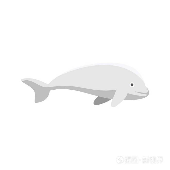 白鲸图标 扁平风格