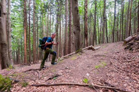 徒步旅行者带着背包和徒步旅行棍走在森林小路上。健康 lifestile