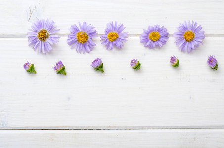 白色木质背景紫罗兰花
