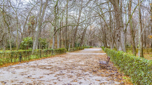 西班牙马德里最大吸引力公园 El 雷蒂罗历史 gaden 公园城市日场景