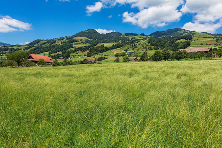 在瑞士 Schwyz 的夏日美景中, 这幅画是在 Schwyz 镇地区的琼结束时拍摄的。