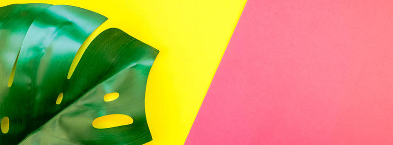 热带丛林棕榈龟背竹叶子在明亮的黄色和粉红色的双色调纸背景。暑期创意平面布局概念模板的文本。长宽横幅