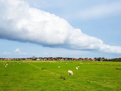 美丽的云彩乐队在风景之上与绵羊从海岛 Ameland