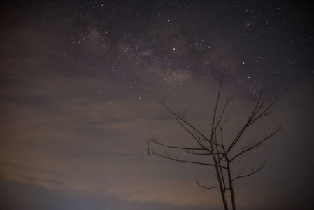 美丽的银河, 泰国