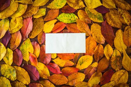 背景五颜六色的秋叶与白纸纸。感恩的概念。秋季明信片