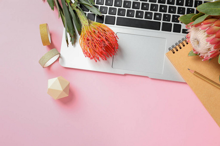 创意扁平的布局与热带花卉和笔记本电脑的颜色背景