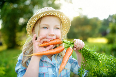 可爱的小女孩戴草帽拿着一堆新鲜的有机胡萝卜。为小孩子提供新鲜健康的有机食品。夏季家庭营养
