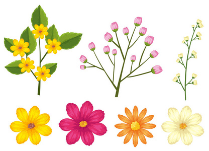 一组美丽的花插图