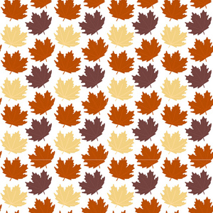 抽象秋天枫叶白色背景矢量图像