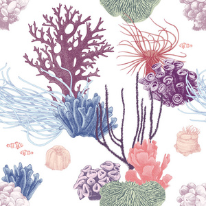 手工绘制的珊瑚礁无缝图案