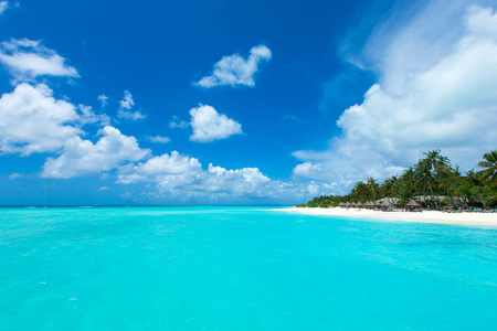 在马尔代夫与蓝色泻湖的热带海滩