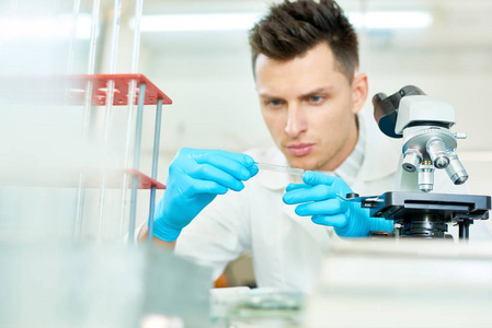 在实验室长凳上戴着橡皮手套和白大衣的集中年轻研究员的腰部肖像和兴趣研究样品