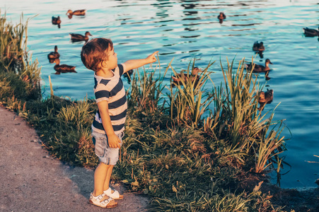 快乐的孩子, 小男孩看着湖里的鸭子, 手捧着户外的生长。复古色调。夏天