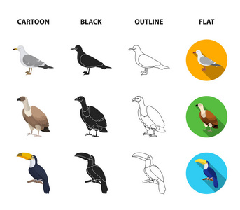 海鸥, 巨嘴鸟和其他物种。鸟类集合图标在卡通, 黑色, 轮廓, 平面风格矢量符号股票插画网站