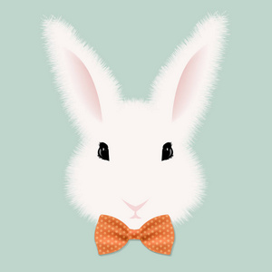 那只小白兔用领结