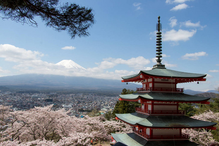 Chureito 塔和作为前景的樱花和富士山为背景，旅行的目的地在日本