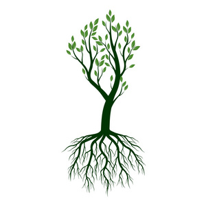 绿树与根。矢量图