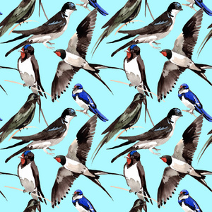 天空的鸟燕子图案在野生动物的水彩风格