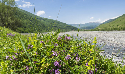 Aragvi 河流域