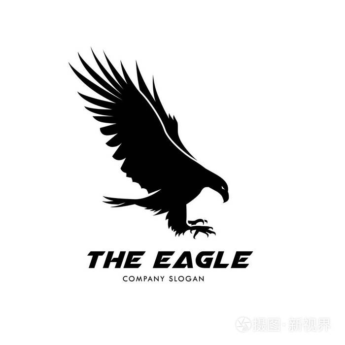 飞鹰logo,小鸟标志套装,猎鹰徽标,鹰标志,矢量标志模板