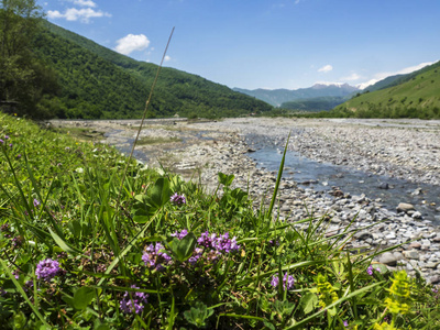 Aragvi 河流域