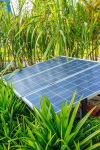 在花园里的太阳能电池的电池板